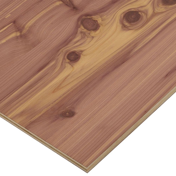 Sàn gỗ tự nhiên TN2